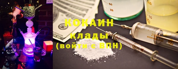 гашик Карталы