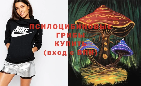 гидропоника Карпинск